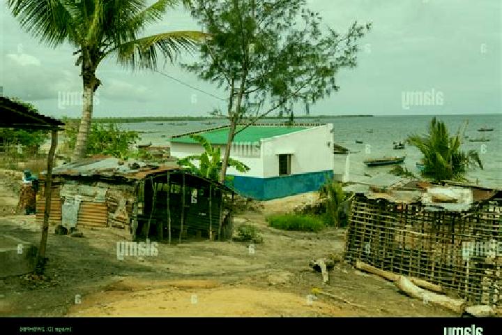 Escorts Mocimboa da Praia, Mozambique — Local Companions