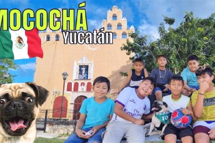 Escorts Mococha, Mexico — Local Companions