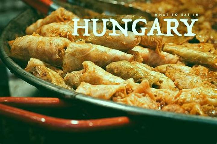 Escorts Mogyorod, Hungary — Local Companions