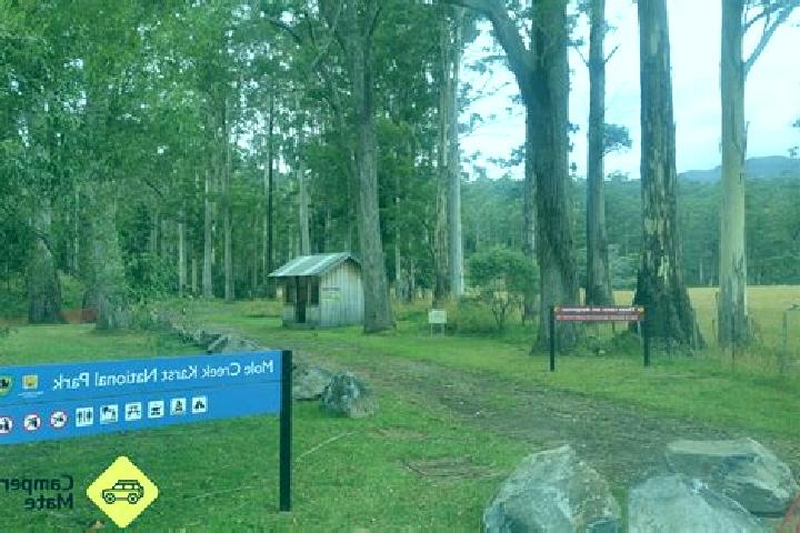 Escorts Mole Creek, Australia — Local Companions