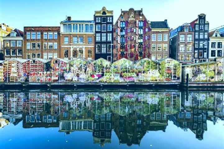 Escorts Molenschot, Netherlands — Local Companions