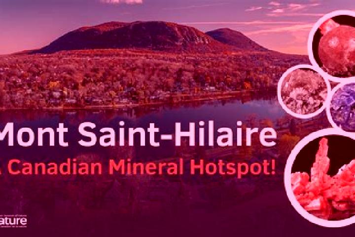 Escorts Mont-Saint-Hilaire, Canada — Local Companions
