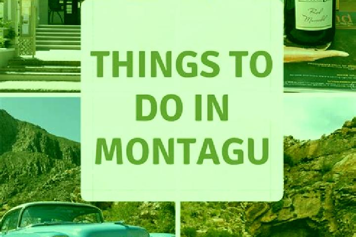 Escorts Montagu, South Africa — Local Companions