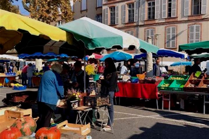 Escorts Montauban, France — Local Companions