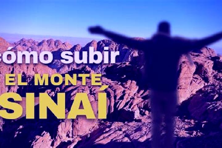 Escorts Monte Sinai, Mexico — Local Companions