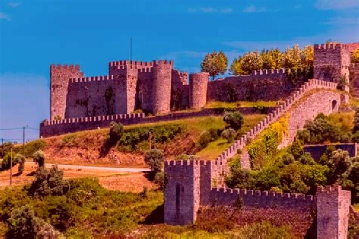 Escorts Montemor-o-Velho, Portugal — Local Companions