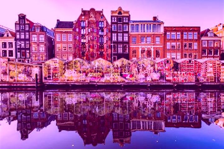 Escorts Montfort, Netherlands — Local Companions