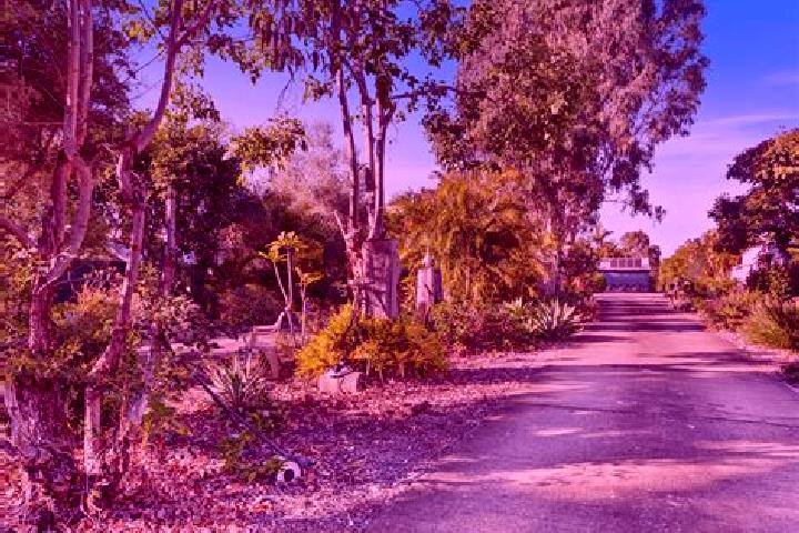 Escorts Moores Pocket, Australia — Local Companions