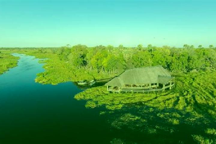 Escorts Moremi, Botswana — Local Companions