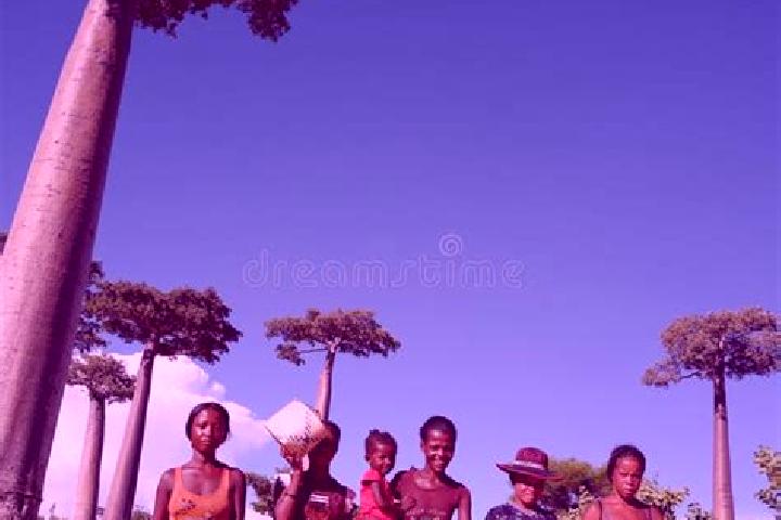Escorts Morondava, Madagascar — Local Companions