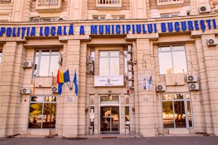 Escorts Mosesti, Romania — Local Companions