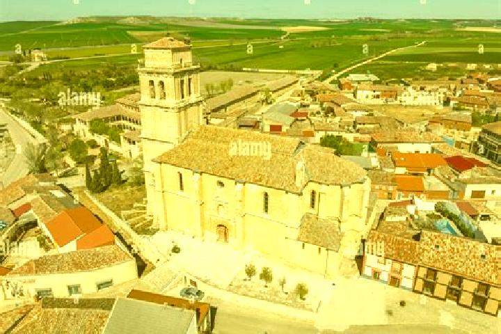 Escorts Mota del Marques, Spain — Local Companions