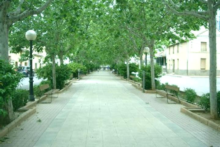 Escorts Motilla del Palancar, Spain — Local Companions