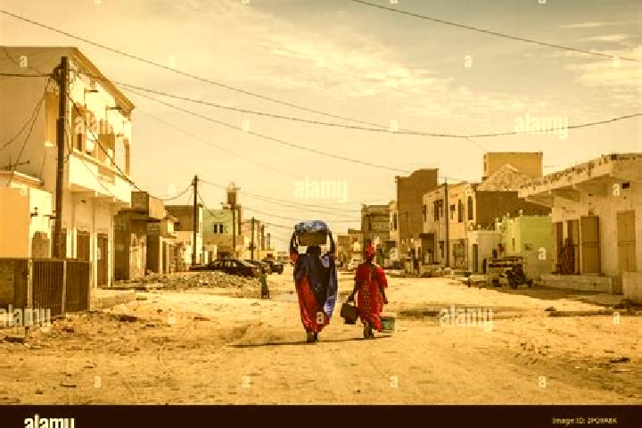 Escorts Moudjeria, Mauritania — Local Companions