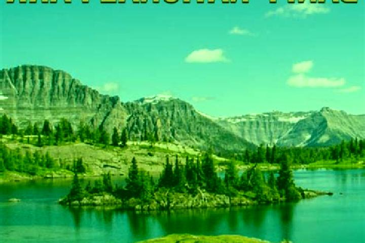 Escorts Mountain Meadows, Canada — Local Companions