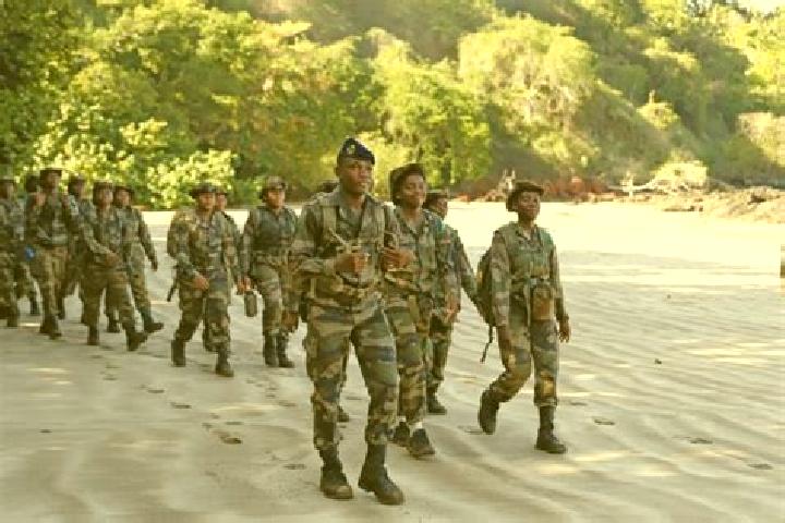 Escorts Mtsangamboua, Mayotte — Local Companions
