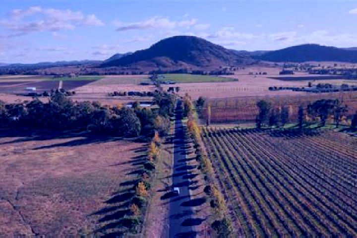 Escorts Mudgee, Australia — Local Companions