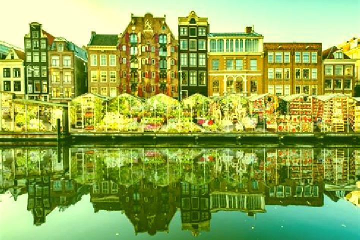 Escorts Muiderberg, Netherlands — Local Companions