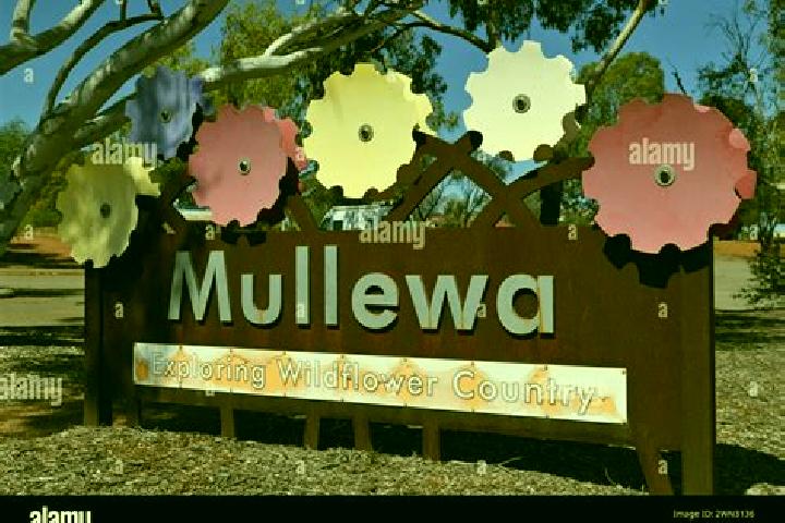 Escorts Mullewa, Australia — Local Companions