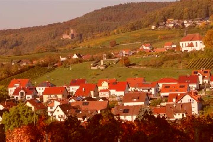 Escorts Munchweiler am Klingbach, Germany — Local Companions