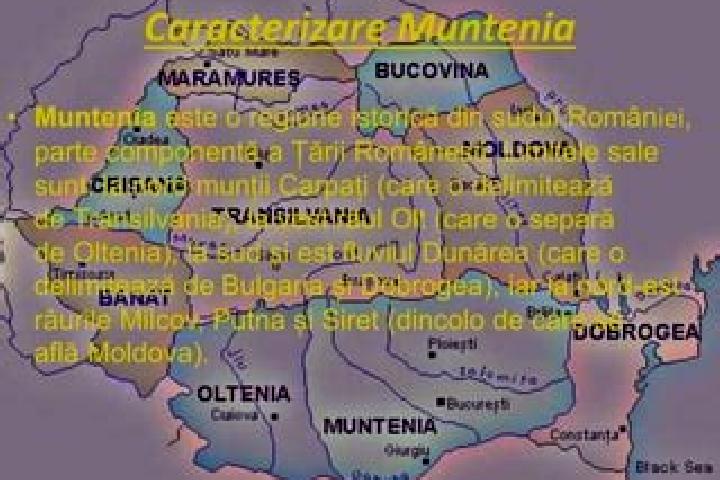 Escorts Muntenii de Sus, Romania — Local Companions