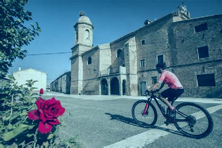 Escorts Murillo el Cuende, Spain — Local Companions