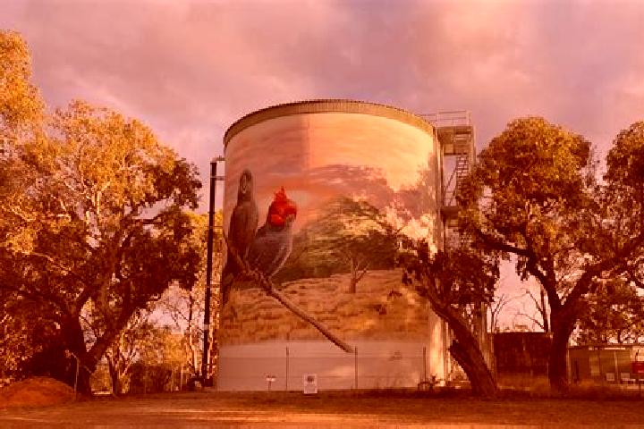 Escorts Murrumbateman, Australia — Local Companions
