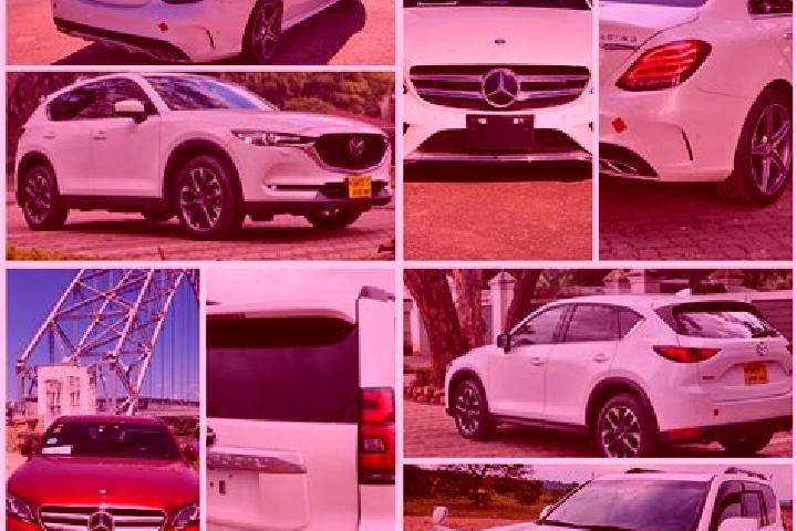 Escorts Musina, South Africa — Local Companions