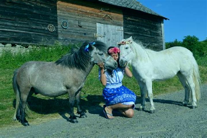 Escorts Na Starom Majeri, Slovakia — Local Companions
