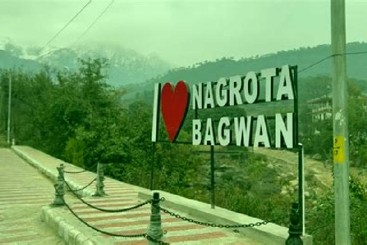 Escorts Nagrota Bagwan, India — Local Companions