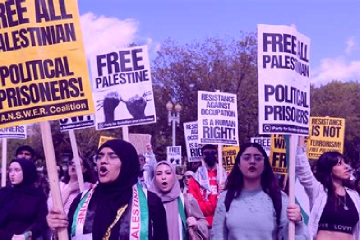 Escorts Nahhalin, Palestine — Local Companions