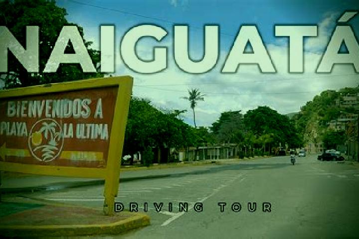 Escorts Naiguata, Venezuela — Local Companions