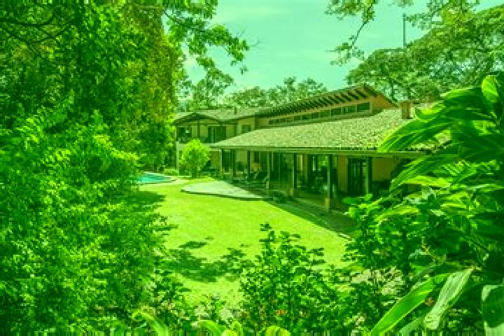 Escorts Naranjo, Costa Rica — Local Companions