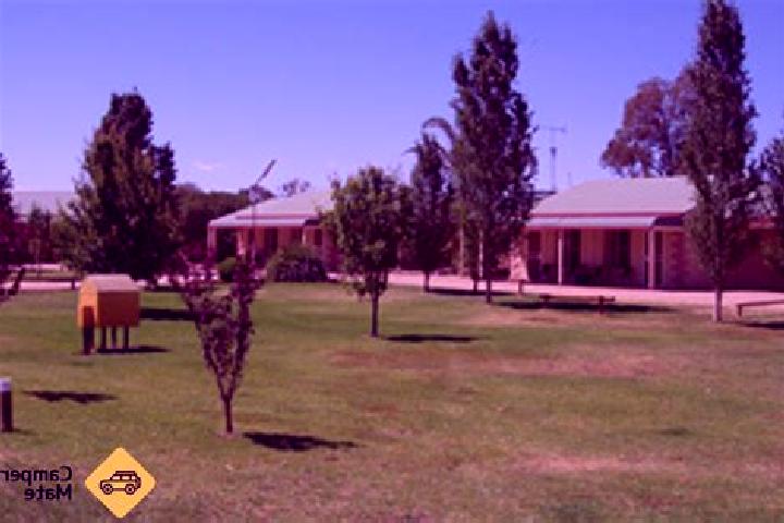 Escorts Narrandera, Australia — Local Companions