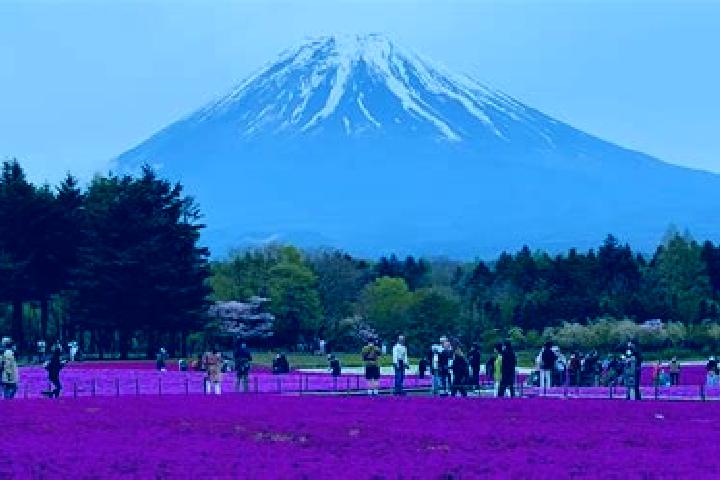 Escorts Narusawa, Japan — Local Companions