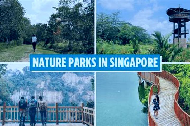 Escorts Nature Reserve, Singapore — Local Companions