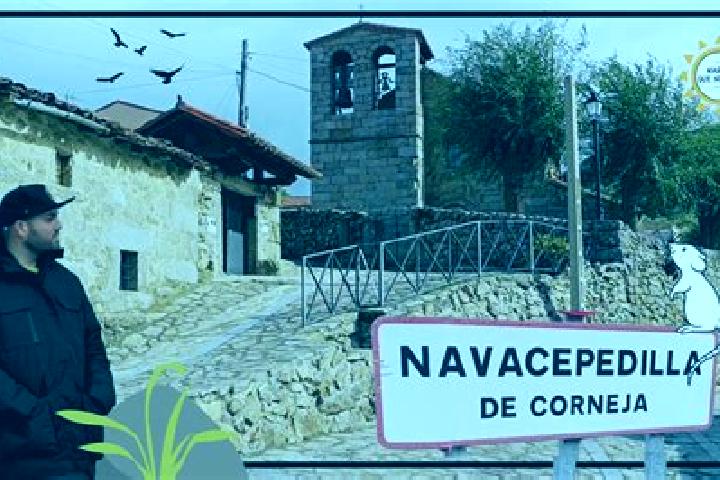 Escorts Navacepedilla de Corneja, Spain — Local Companions
