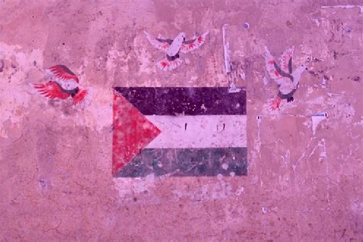 Escorts Nazlat ash Shaykh Zayd, Palestine — Local Companions