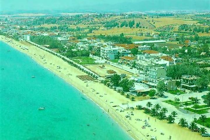 Escorts Nea Flogita, Greece — Local Companions