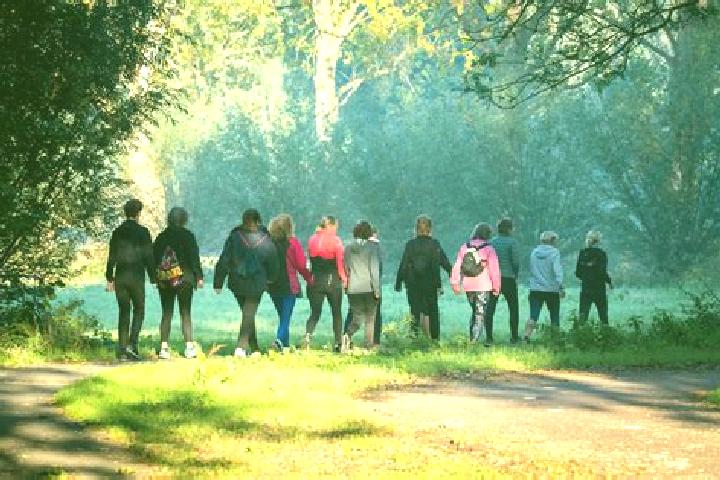 Escorts Neede, Netherlands — Local Companions