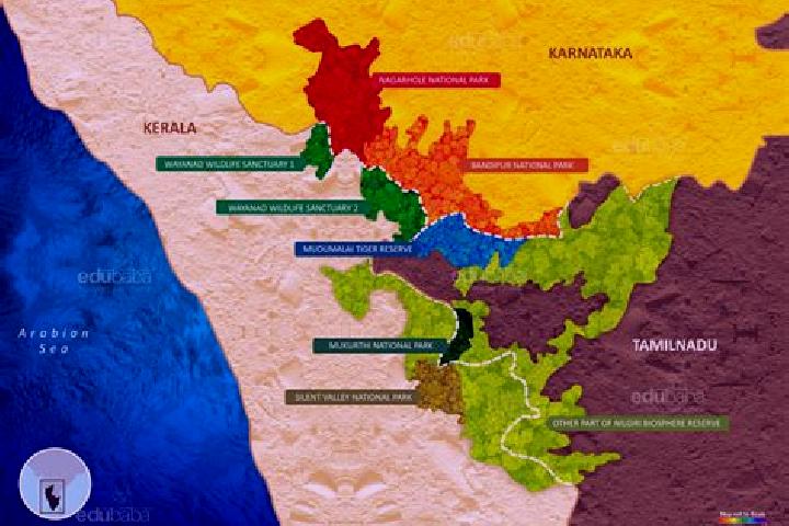 Escorts Neelagiri, India — Local Companions