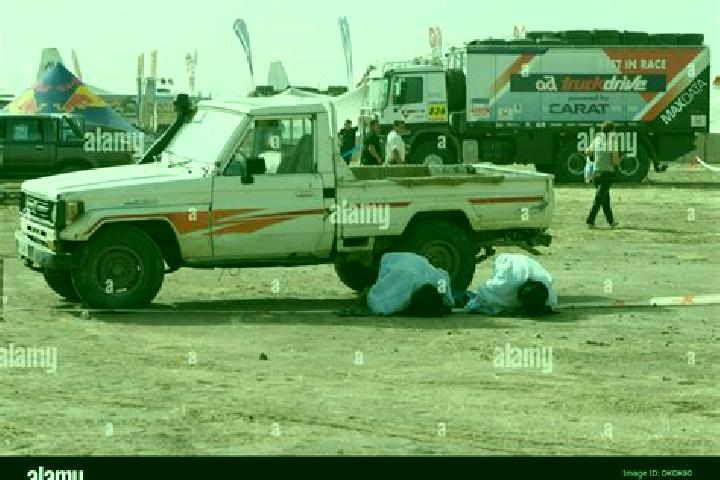 Escorts Nema, Mauritania — Local Companions