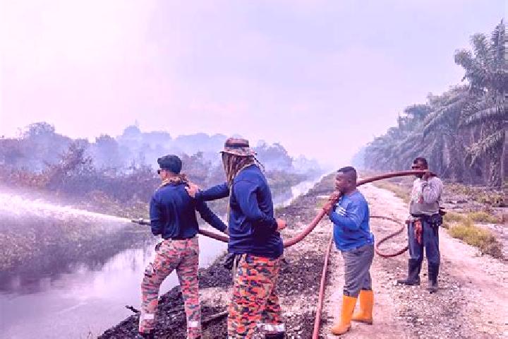 Escorts Nenasi, Malaysia — Local Companions