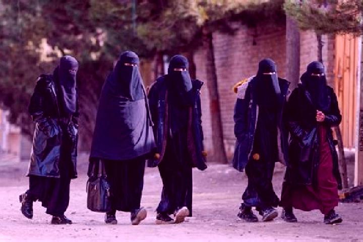 Escorts Neqab, Iran — Local Companions