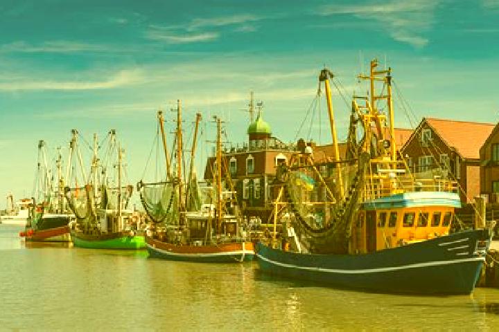 Escorts Neuharlingersiel, Germany — Local Companions