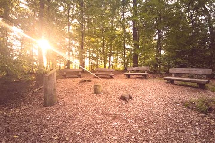 Escorts Neunburg vorm Wald, Germany — Local Companions