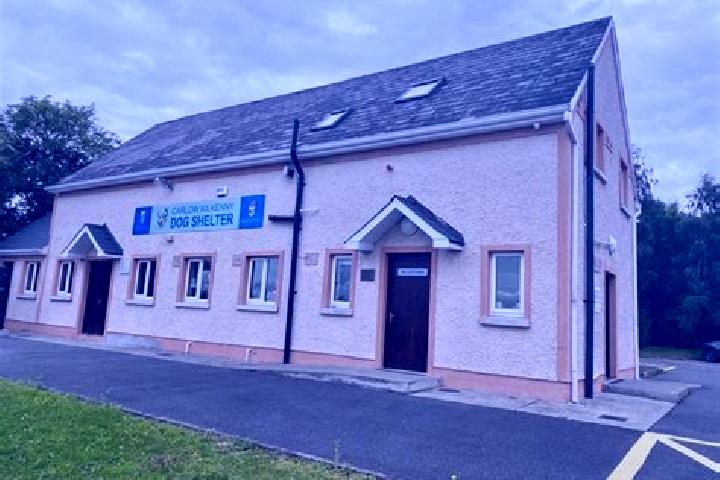 Escorts Newtownmountkennedy, Ireland — Local Companions