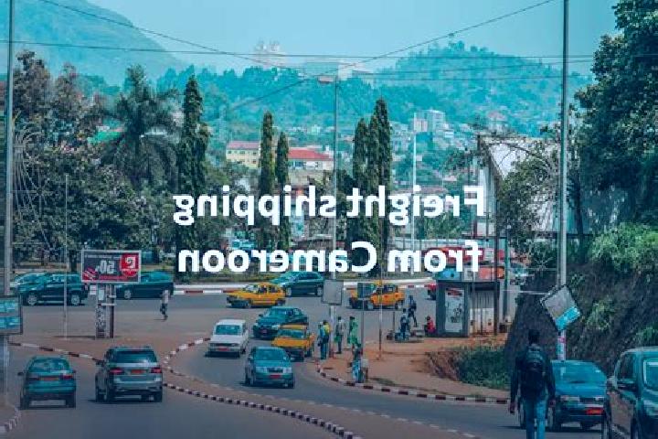 Escorts Ngaoundal, Cameroon — Local Companions