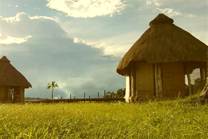Escorts Ngaoundere, Cameroon — Local Companions