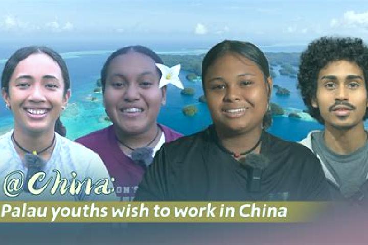 Escorts Ngardmau, Palau — Local Companions